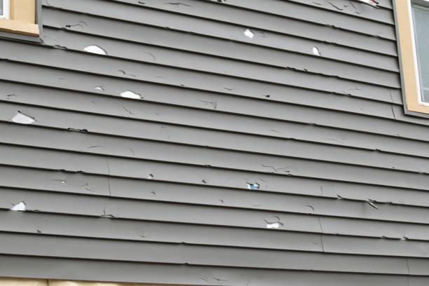 Best Siding for Commercial Buildings  in , CO